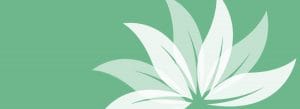 Cascade Natural Gas Energy Efficiency Information