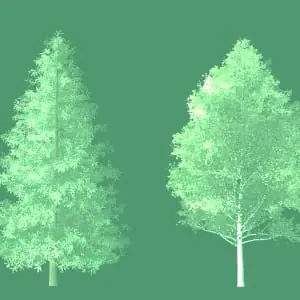 カスケード天然ガス環境パートナー