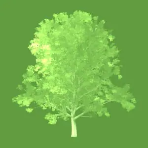 Cascade Natural Gas Conservation