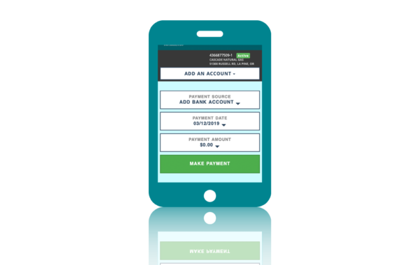 online account services payment center