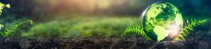 cascade natural gas conservation plans and reports